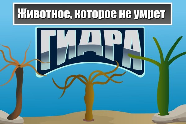 Как зайти в кракен через айфон
